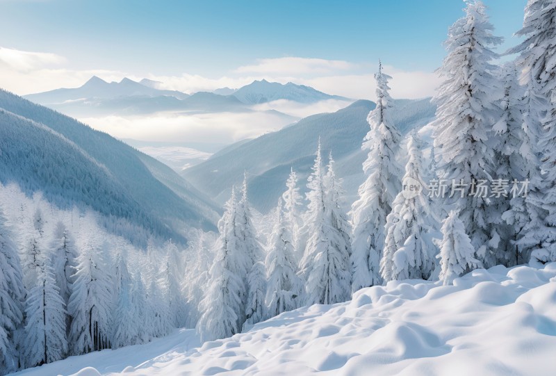 冬季森林白雪覆盖风景