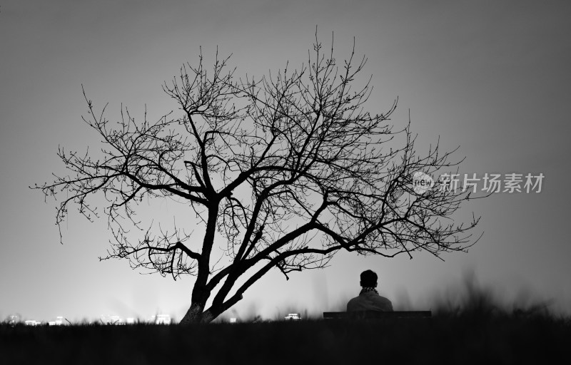 枯树下坐着的孤独场景黑白照片