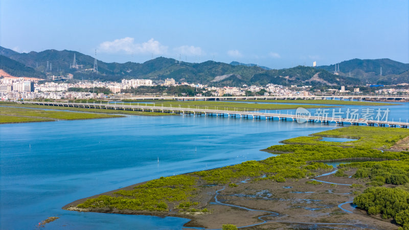 惠州市盐洲海洋湿地公园-红树林航拍