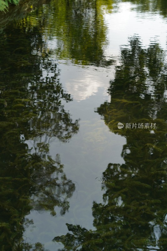 四川成都望江楼湖面天空倒影