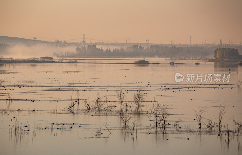 日出时分的湿地湖景