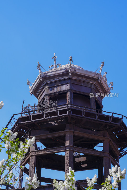 故宫延禧宫中式古建筑窗景及繁花