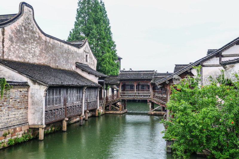 梅雨季的乌镇西栅美景