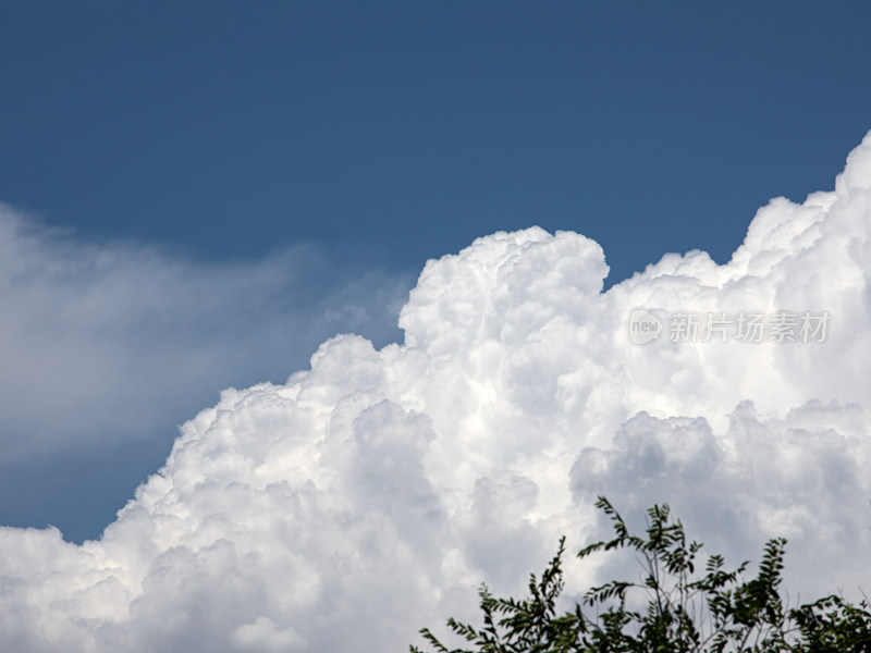 晴朗的夏天，蓝天白云树木的背景图