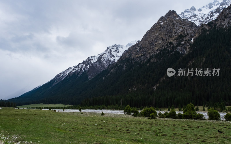 新疆伊犁夏塔雪山森林草原河流绝美风光