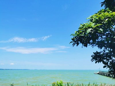 梁子湖湖景