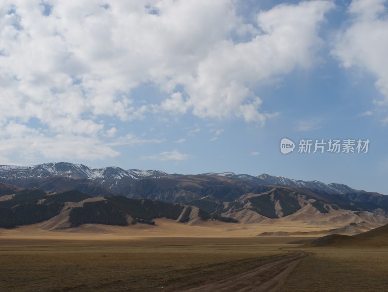 雪山和草地