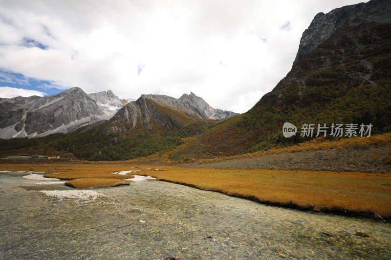 中国四川甘孜稻城亚丁洛绒牛场秋景