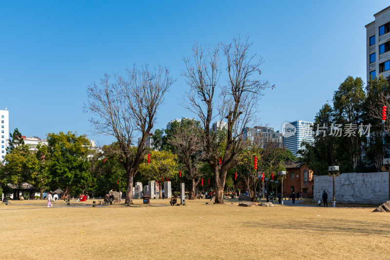 福州春天绿意盎然的冶山春秋公园景色