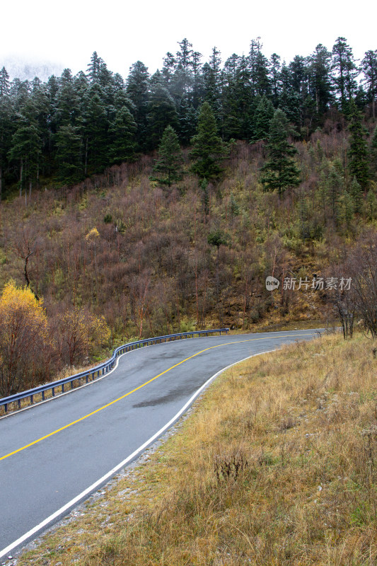 九寨沟秋色，雾中山林公路