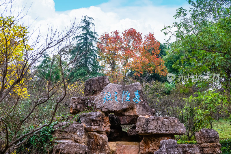 南京钟山风景名胜区明孝陵园林风景