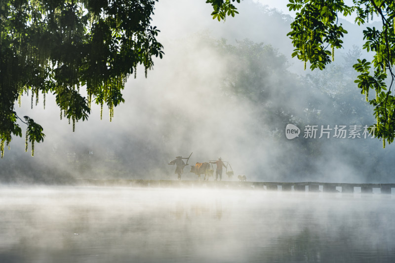 丽水缙云仙都风景区村庄日出航拍