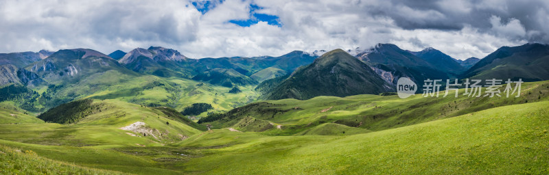 高山草甸自然风景