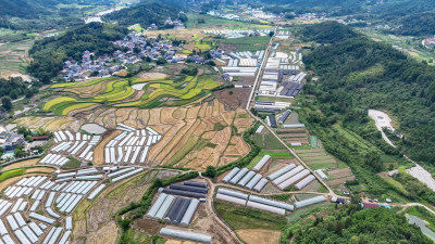 乡村田园大棚农业种植航拍图