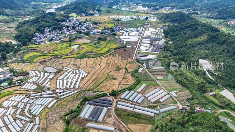 乡村田园大棚农业种植航拍图