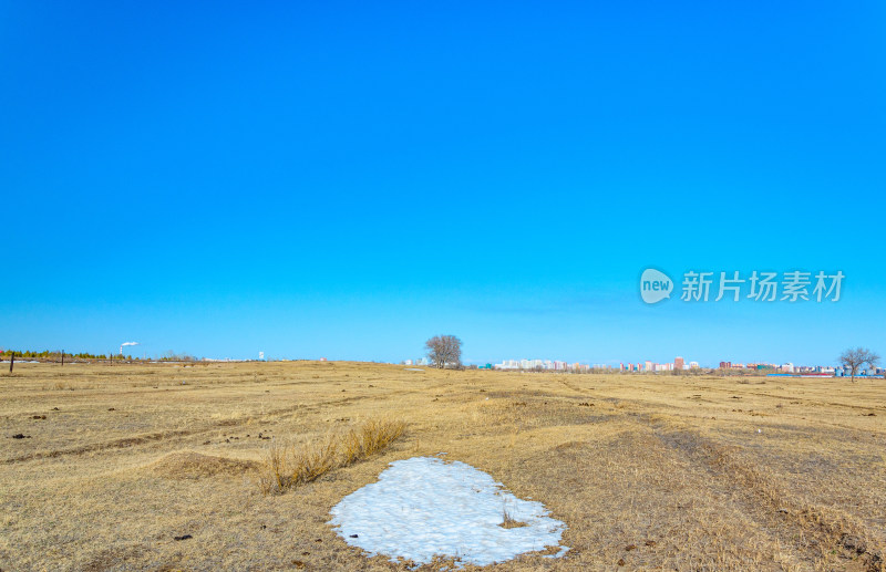 内蒙古呼伦贝尔海拉尔草原枯树与积雪