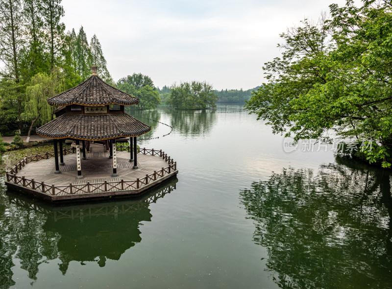 杭州西湖茅家埠黛色参天自然风景景观