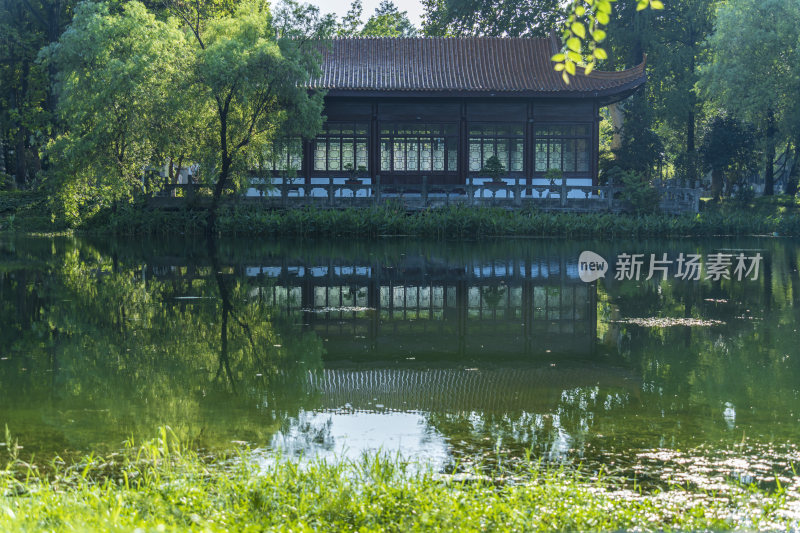 武汉江岸区解放公园风景