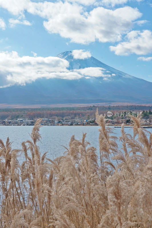 日本山中湖，眺望富士山