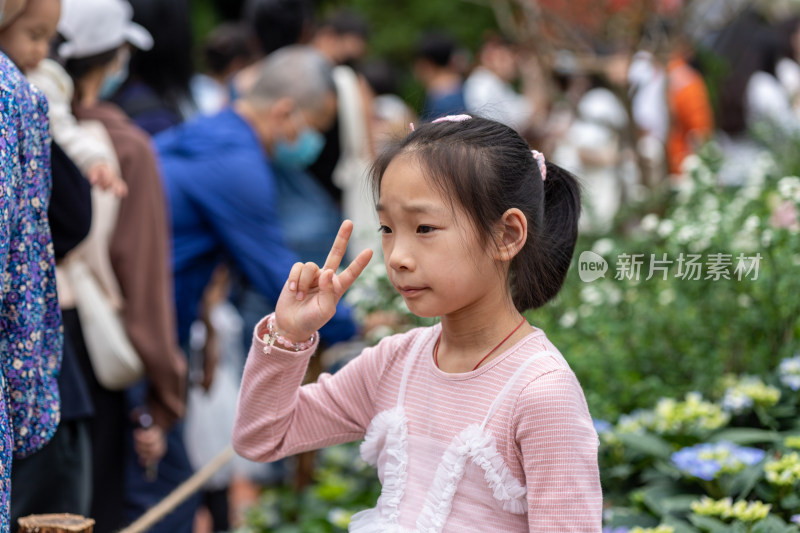 深圳仙湖植物园花展