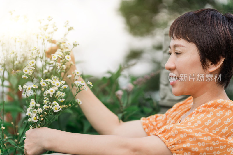 旅游景区欣赏白色小雏菊的东方女性