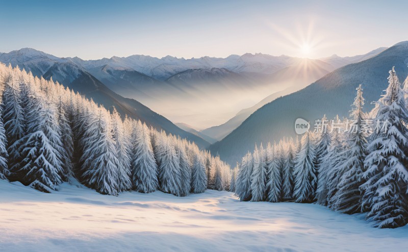 冬季森林白雪覆盖风景