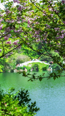 杭州半山国家森林公园