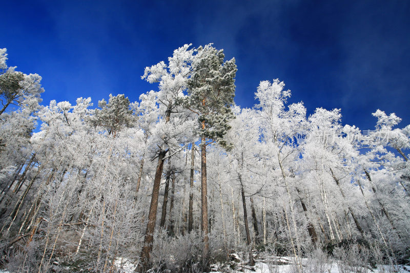 大兴安岭冬季林海雪原冰雪风光