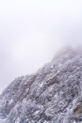 老君山下雪大山森林雾凇景观