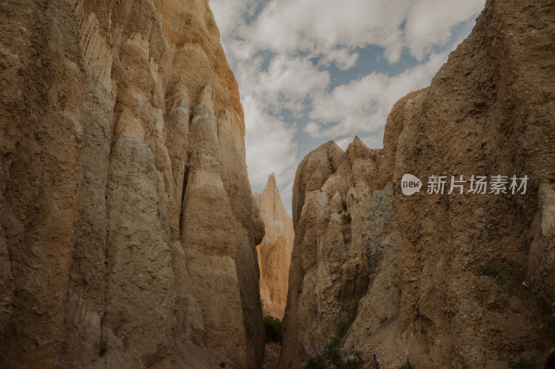 新西兰花木兰取景地ClayCliff粘土绝壁