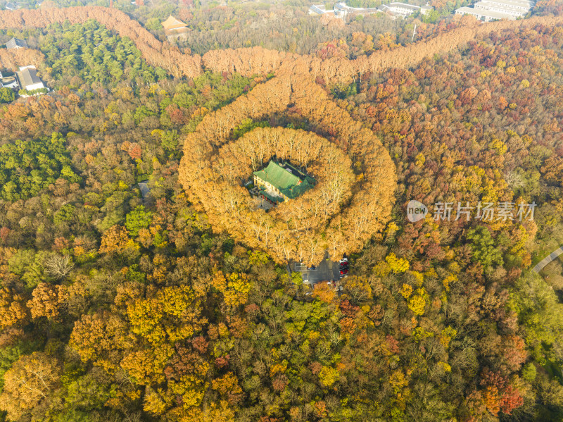 航拍秋季清晨南京中山陵风景区美龄宫