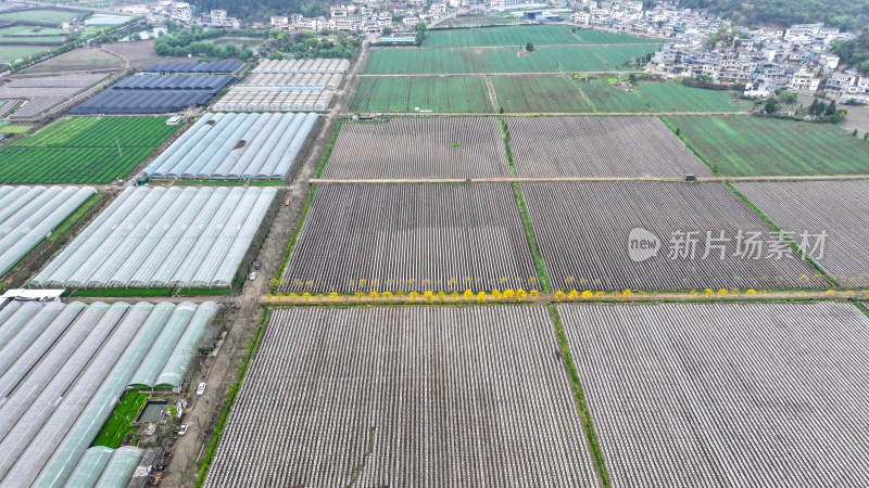 航拍农业大棚基地 农业产业乡村振兴