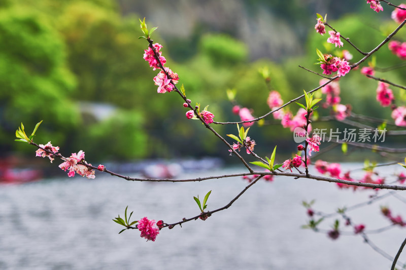 绍兴东湖风光