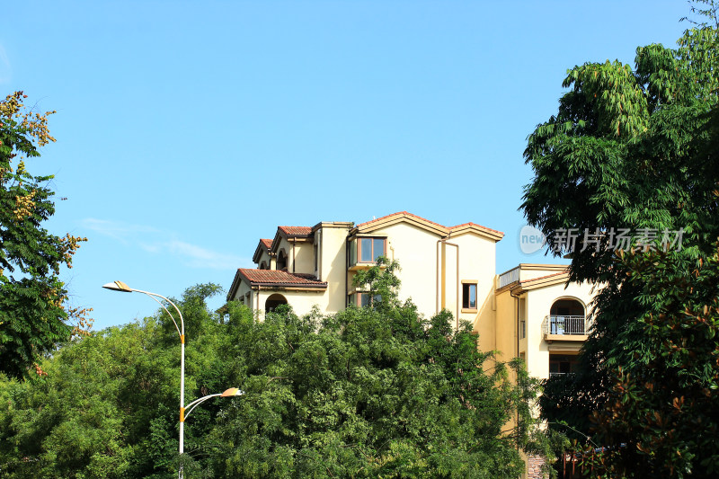 蓝天背景中的绿树和住宅