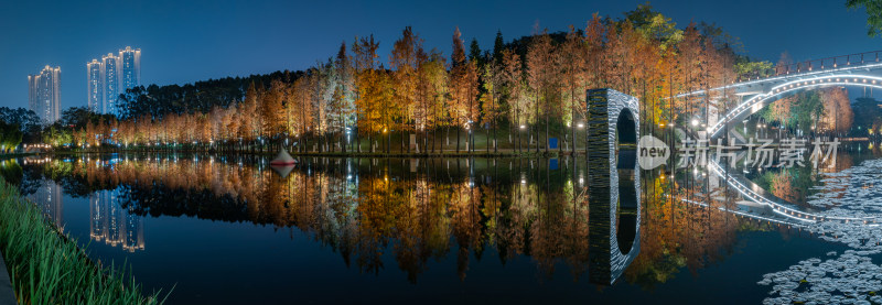 佛山千灯湖南海活水公园落羽杉夜景全景长图