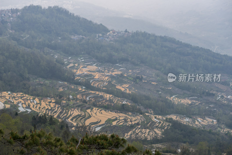 云南红河元阳梯田-新广平4