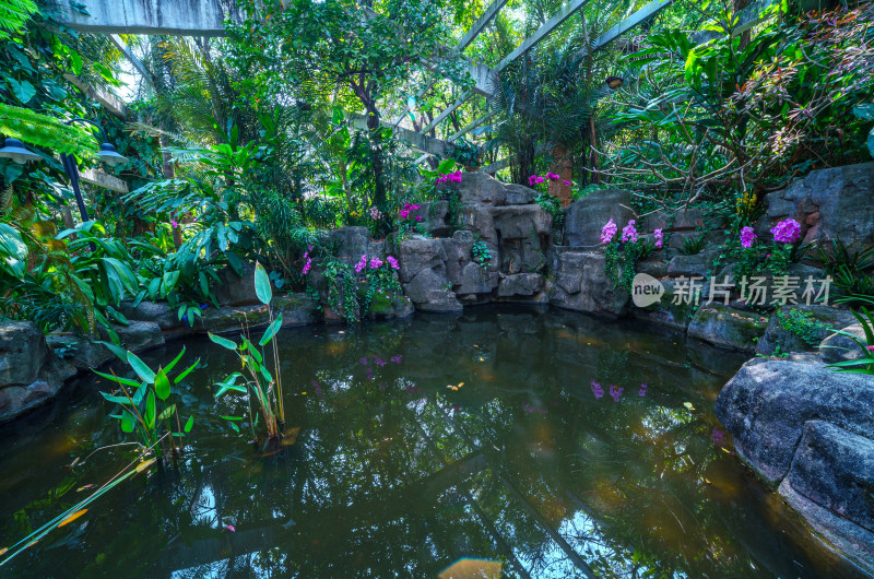 广州麓湖公园麓湖花园林间水池景观