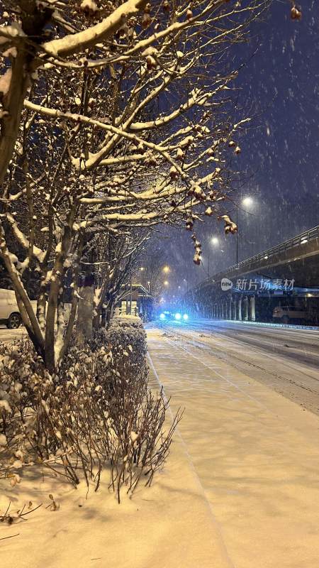 冬日雪景