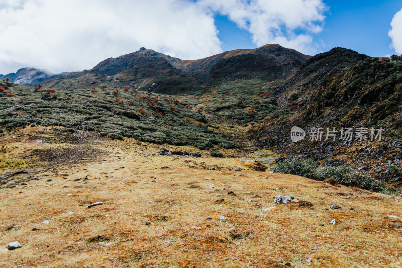 迪庆藏族自治州哈巴村羊房牧场兰花坪牧场