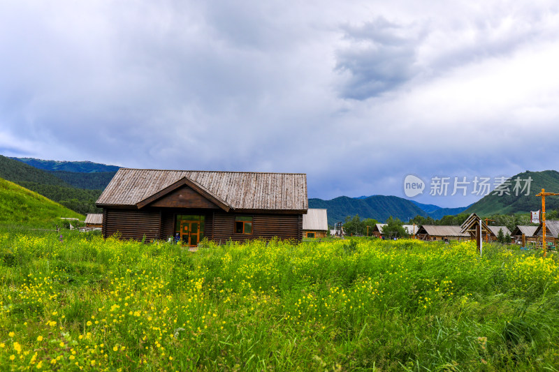 春季阿勒泰禾木村庄风景