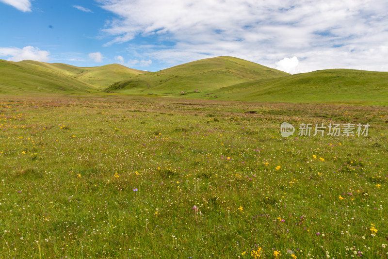 蓝天白云草原风景