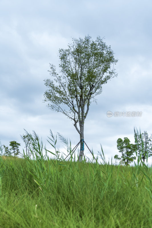 武汉江夏区二妃生物公园风景