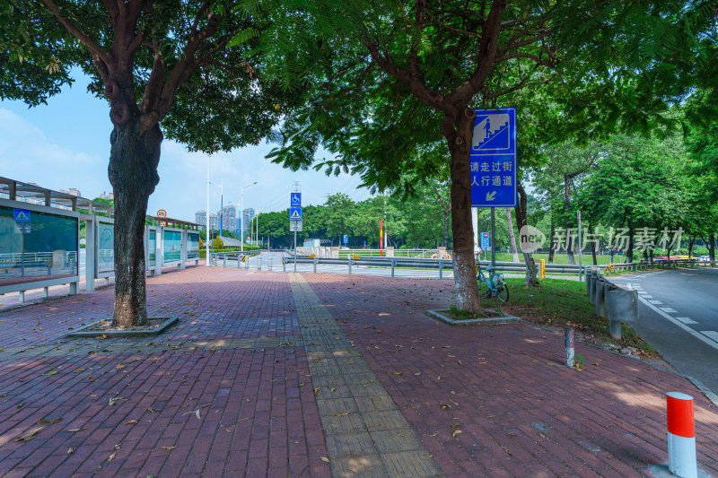 广州番禺钟村街道城市公路与林荫大道景观