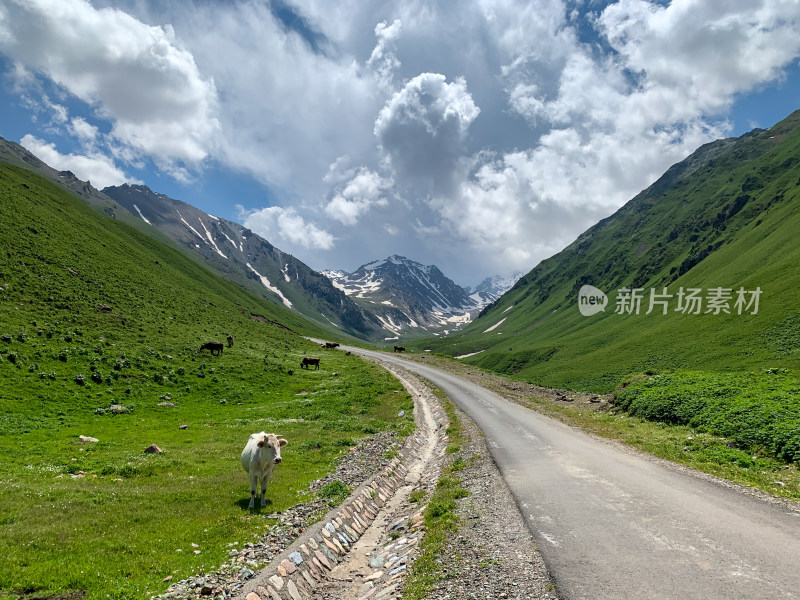 中国新疆伊犁那拉提草原旅游风光