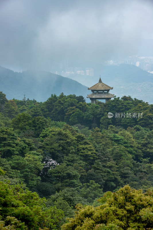 深圳梧桐山公园山景