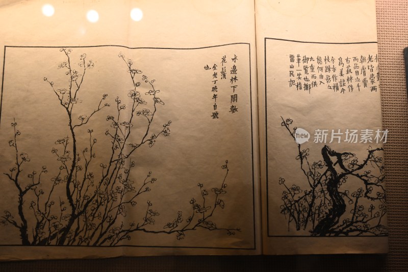 古籍中的梅花图与诗词