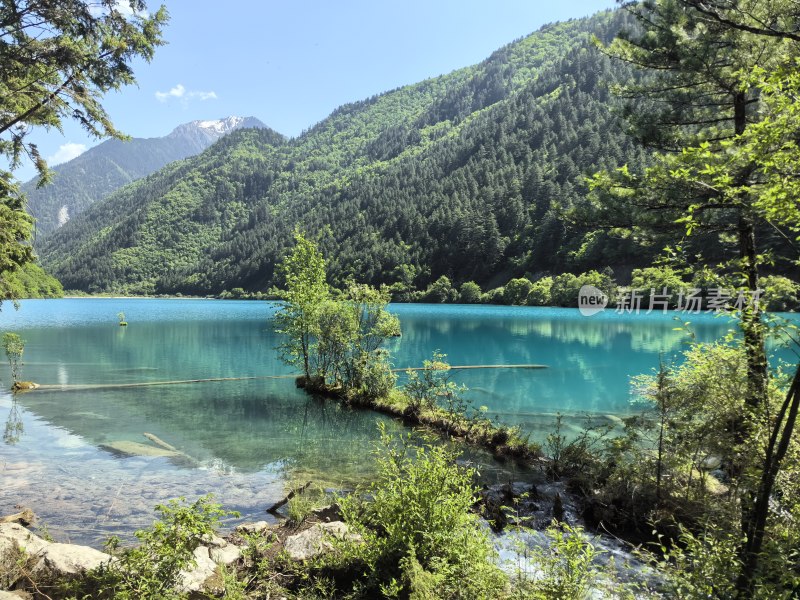 九寨沟山林环绕的蓝水湖泊自然风景