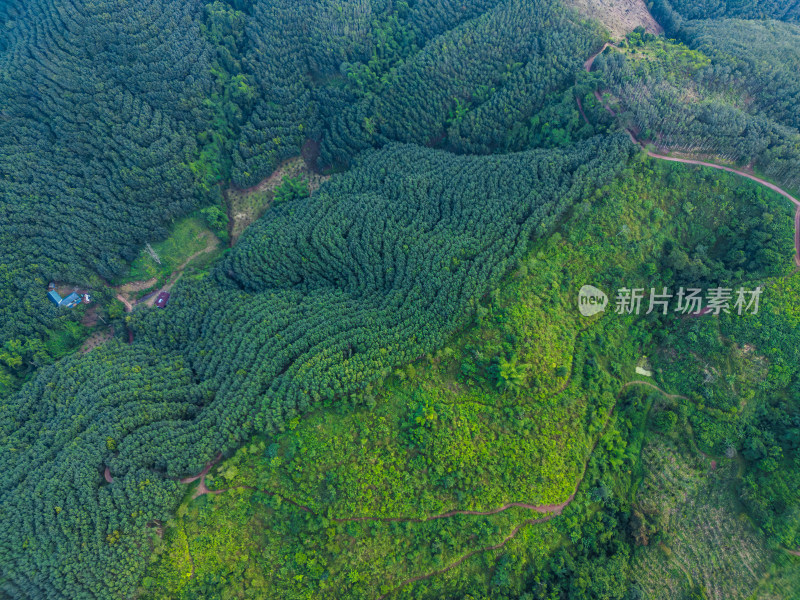 航拍绿意盎然的广袤山林自然景观