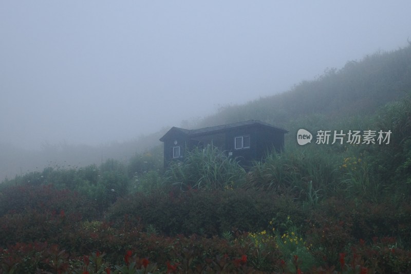 山间浓雾中的小屋静谧而神秘