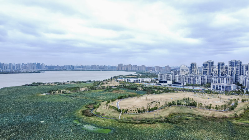 武汉江夏区黄家湖湿地公园航拍